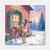 Aimant Catahoula Leopard Dog Rustic Barn Christmas Art (Devant)