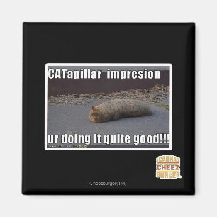Aimant CATapillar