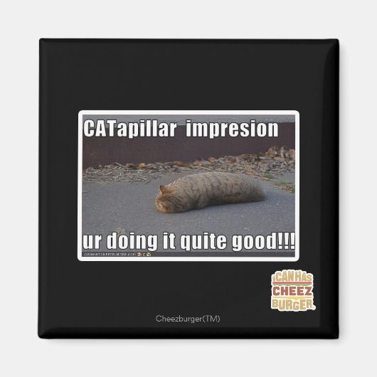 Aimant CATapillar (Devant)