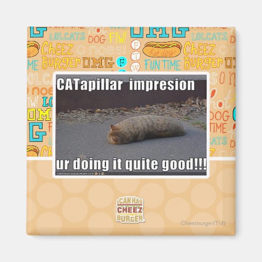Aimant CATapillar (Devant)