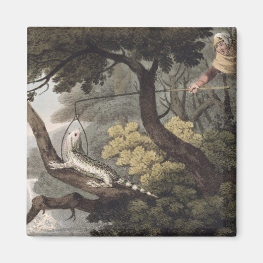 Aimant Catcher de Lizard mexicain, gravé par Matthew Dubo (Devant)
