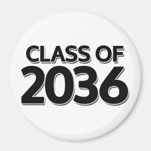 Aimant Catégorie 2036