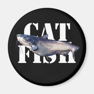 Aimant Catfish