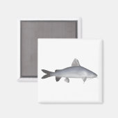 Aimant Catfish Saumon Blu (Recto/Verso)