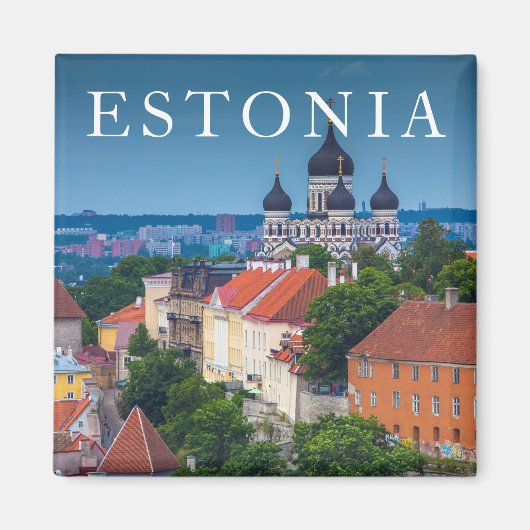 Aimant Cathédrale et cityscape | Estonia (Devant)