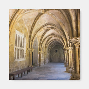 Aimant Cathédrale voûtée Cloître Couloir