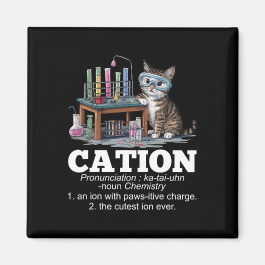 Aimant Cation Chimie Humour Science Enseignant Chat Pun F (Devant)