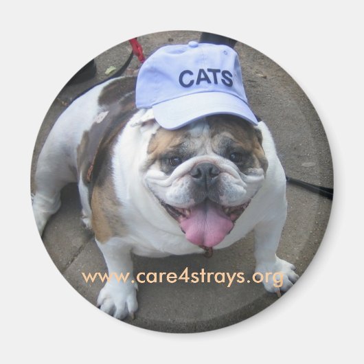 Aimant CATS : (Devant)