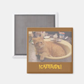 Aimant !CATTITUDE !, (Ou pourquoi je ne peux pas nettoyer (Recto/Verso)