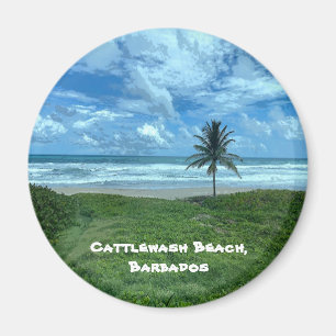 Aimant Cattlewash Beach, Barbade