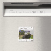 Aimant Catwick (In Situ (Lave-vaisselle))