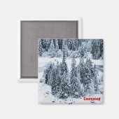 Aimant Caumasee (Recto/Verso)