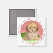 Aimant Cavachon chiot premier Noël (Recto/Verso)