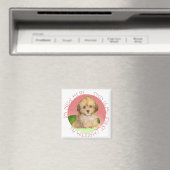 Aimant Cavachon chiot premier Noël (In Situ (Lave-vaisselle))