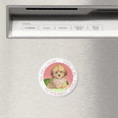 Aimant Cavachon chiot premier Noël (In Situ (Lave-vaisselle))