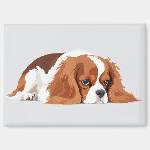Aimant Cavalier King Charles Adorable Animal Dormir Amusa