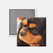 Aimant Cavalier King Charles Spaniel (Recto/Verso)
