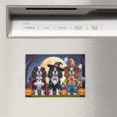 Aimant Cavalier King Charles Spaniel Citrouille Halloween (In Situ (Lave-vaisselle))