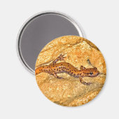 Aimant Cave Salamander (Recto/Verso)
