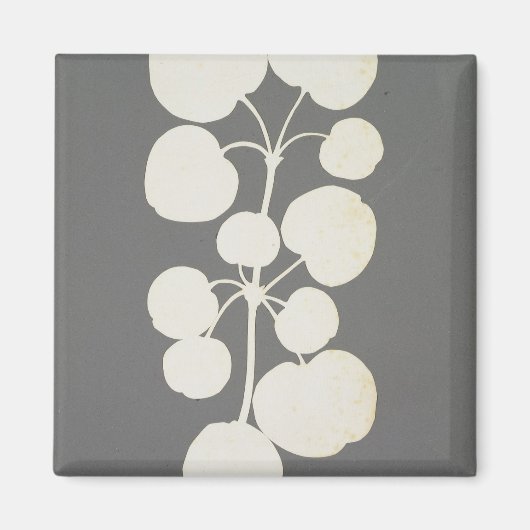 Aimant Cayenne Pepper (Devant)