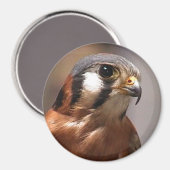 Aimant cd2 017 (Recto/Verso)