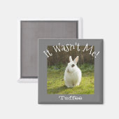 Aimant Ce n'était pas moi ! Personnalisé Animal Photo Chi (Recto/Verso)