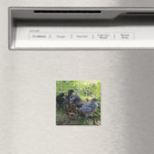 Aimant Ce qui est - bout de poulet (In Situ (Lave-vaisselle))