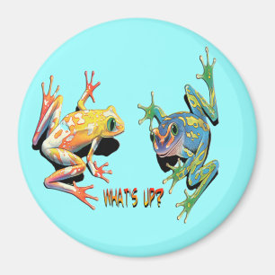 Aimant Ce qui est vers le haut des grenouilles