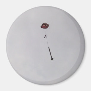 Aimant Ce qui monte… l'aimant