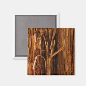 Aimant Cèdre texturé en écorce de bois (Recto/Verso)