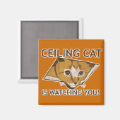 Aimant Ceiling Cat vous regarde ! (Recto/Verso)