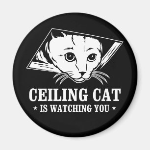 Aimant Ceiling Cat vous regarde