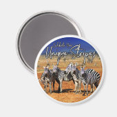 Aimant "Célébrez vos rayures uniques" Zebra Art (Recto/Verso)