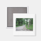 Aimant Central Park, New York (Recto/Verso)