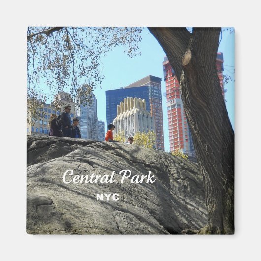 Aimant Central Park, New York City (Devant)