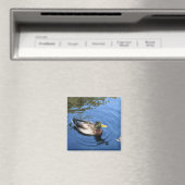 Aimant Central Park NYC Conservatoire Eau Mallard Canard (In Situ (Lave-vaisselle))