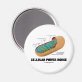 Aimant Centrale cellulaire (Mitochondrion) (Recto/Verso)