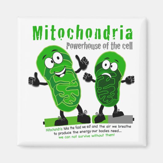 Aimant Centrale mitochondriale de la cellule (Devant)