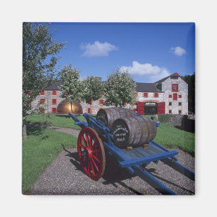 Aimant Centre du patrimoine du whisky Jameson, Midleton,
