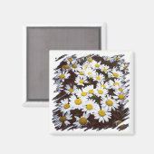 Aimant Centre Jaune Blancs Casta Daisies Photographie (Recto/Verso)