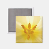 Aimant Centre Tulip (Recto/Verso)