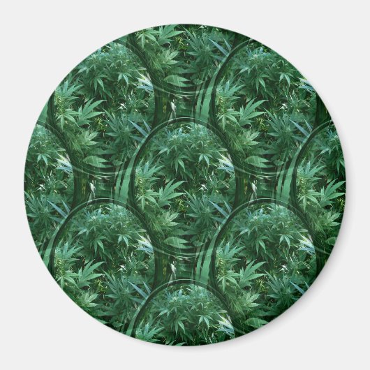 Aimant Cercles de Feuilles..... (Devant)