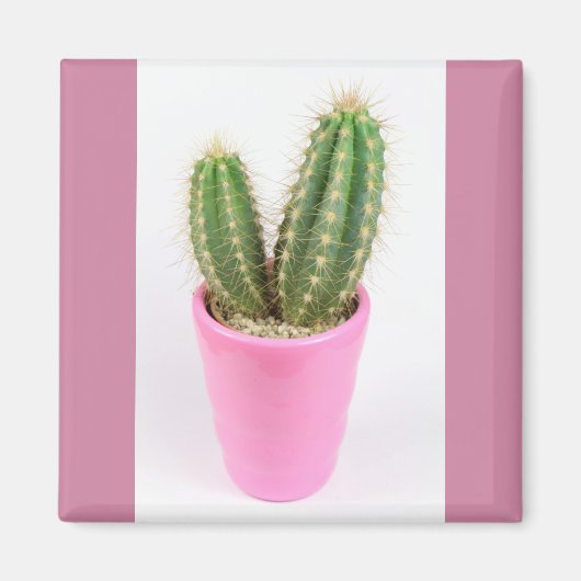 Aimant Cereus cactus dans un pot rose (Devant)