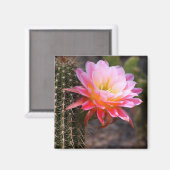 Aimant Cereus en fleur de cactus rose (Recto/Verso)