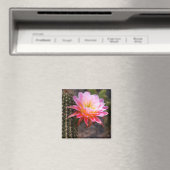 Aimant Cereus en fleur de cactus rose (In Situ (Lave-vaisselle))