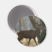 Aimant cerf (Recto/Verso)