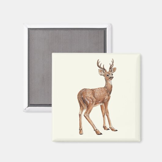 Aimant Cerf (Recto/Verso)