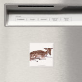 Aimant cerf 2 (In Situ (Lave-vaisselle))