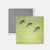 Aimant cerf 2 (Recto/Verso)