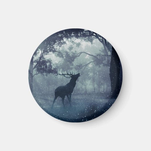 Aimant Cerf avec Antlers dans une forêt ombragée (Devant)